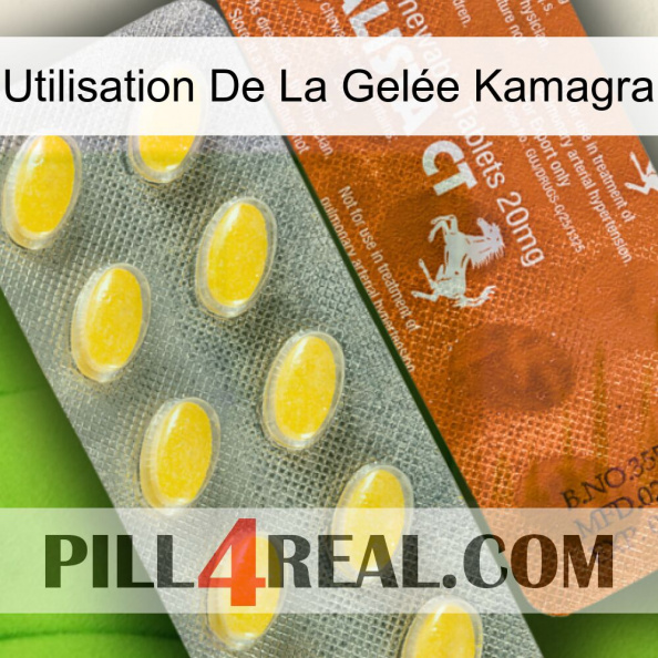 Utilisation De La Gelée Kamagra 42
